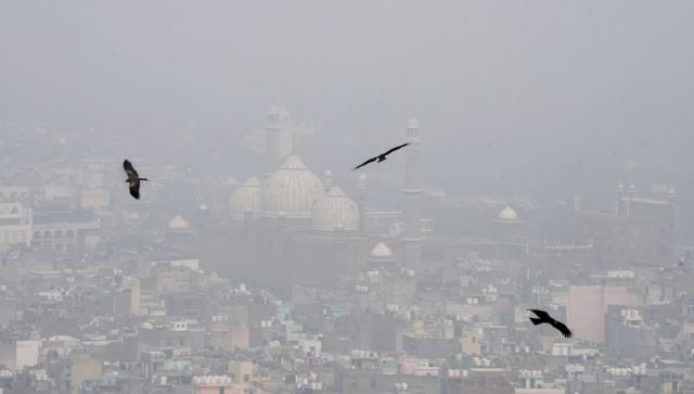 Delhi may see best Diwali day air quality in 8 years if firecracker ban works